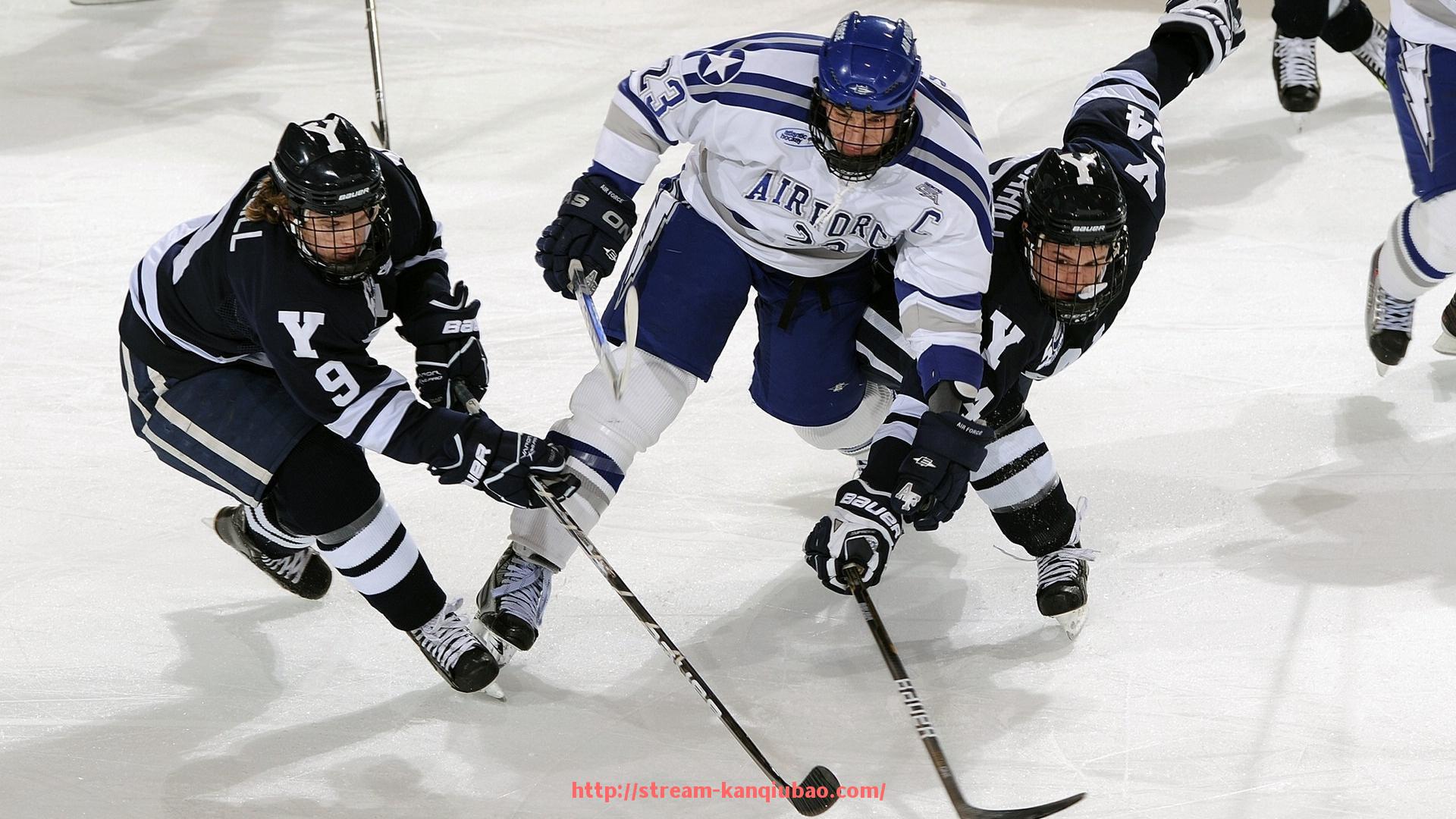 看球宝-世俱杯赞助资金管理流程的优化与规范实施