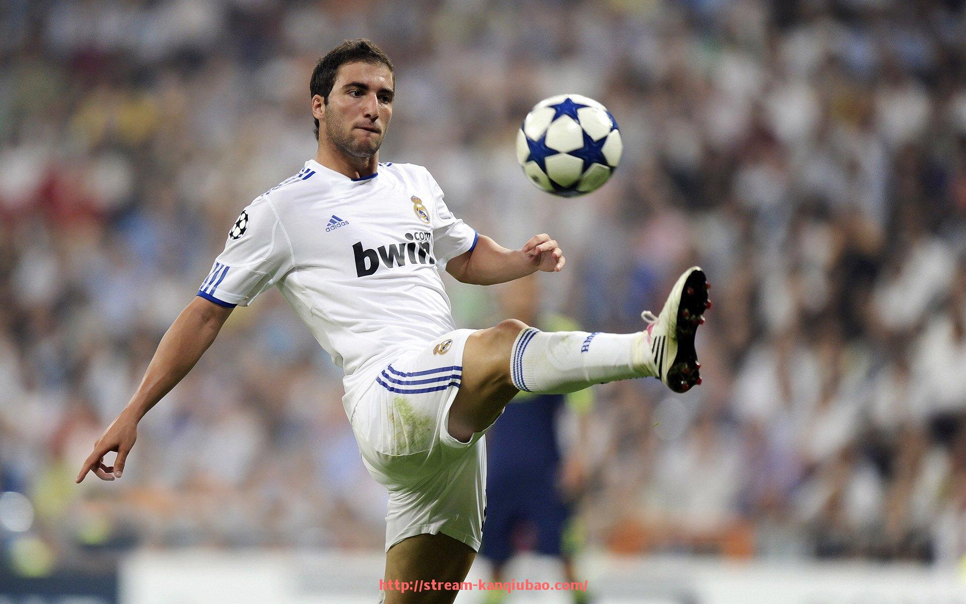 看球宝-德甲FCU球队简介及其历史发展全方位解析