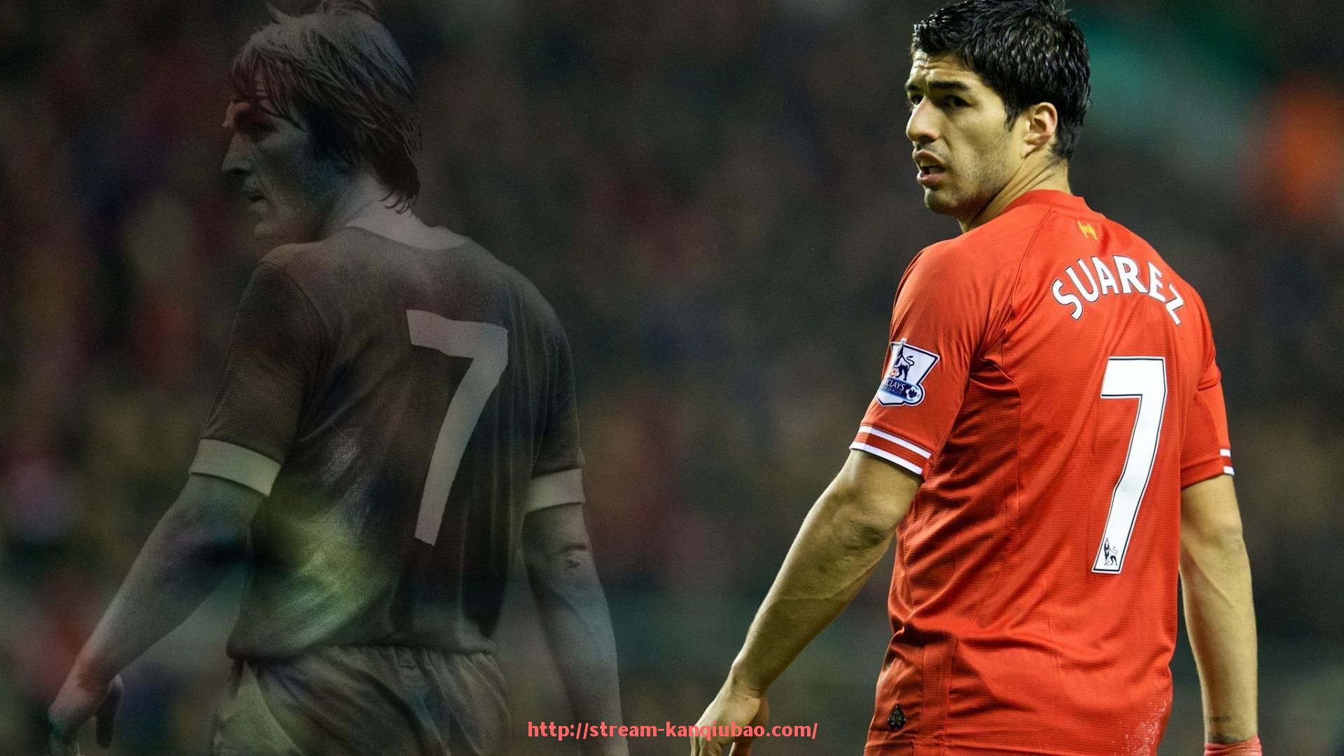 看球宝-火箭队吉祥物“火箭熊”Rockets Bear的由来与趣事